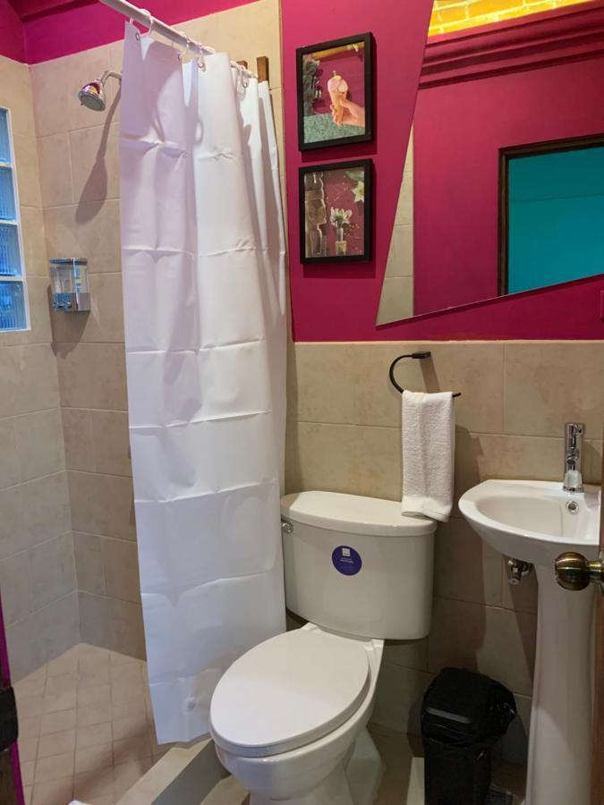 Why Not Hotel Antigua Exteriör bild