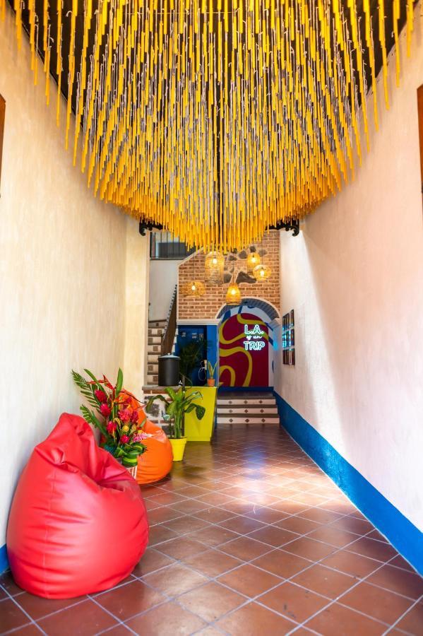 Why Not Hotel Antigua Exteriör bild